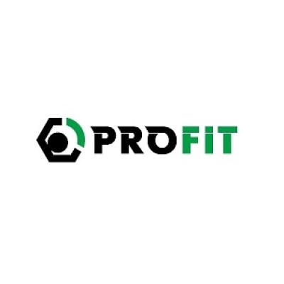 Амортизатор газомасляный задний PROFIT